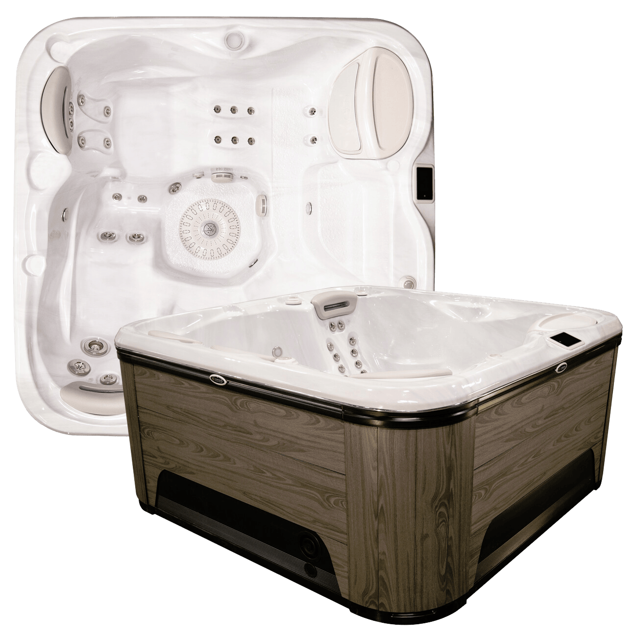 Hydropool Self-Cleaning 455 GOLD
